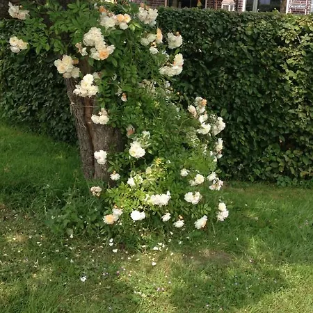 Shepherds House Bed & Breakfast Limmen