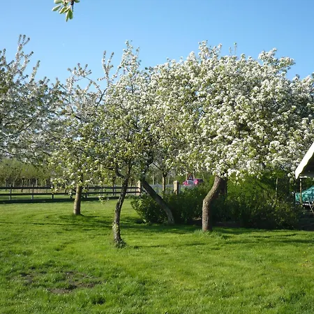 Bed and breakfast Shepherds House Limmen