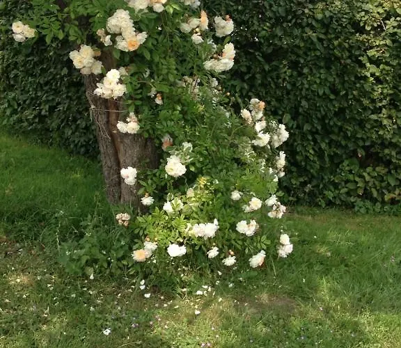 Shepherds House Bed & Breakfast Limmen